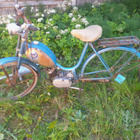 Peto 50 mopo - pikkukuva 1