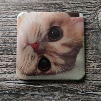 ~Kissa jääkaappimagneetti~