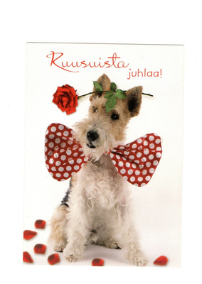 °°KOIRA...Ruusuista juhlaa!°° -KORTTI /Karto