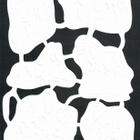 Egmont nro 1 - Kiiltokuva-arkki - Kauniit hevoset - pikkukuva 2