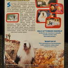 Digby - koiraa kerrakseen (DVD) - pikkukuva 2