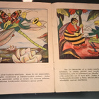 KULTAINEN KOTI SIRI HEINÄSIRKKA WSOY 1948 KUVAKIRJA 15 SIVUA - pikkukuva 3