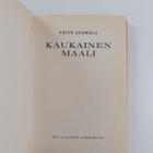 Päivö Suomela : Kaukainen maali - pikkukuva 2