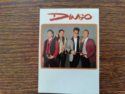 DINGO Sinä ja Minä -postikortti 1993