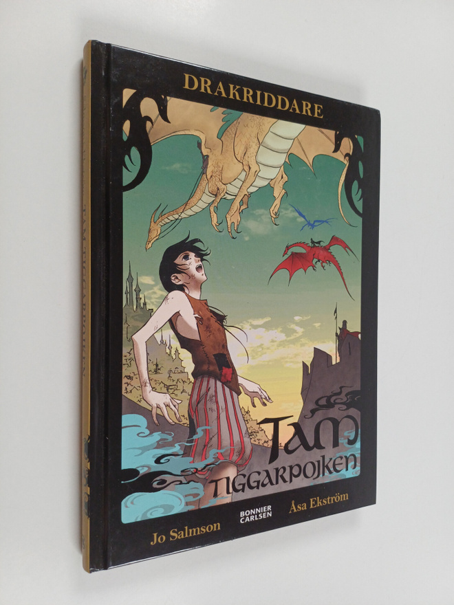 Jo Salmson : Tam, tiggarpojken