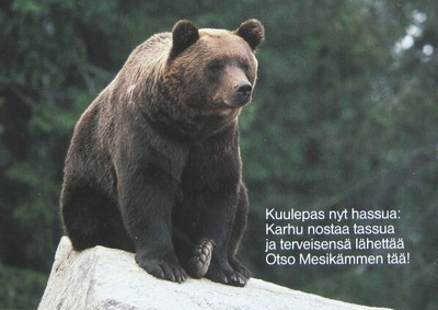 Karhu Otso Meskämmen Postikortti