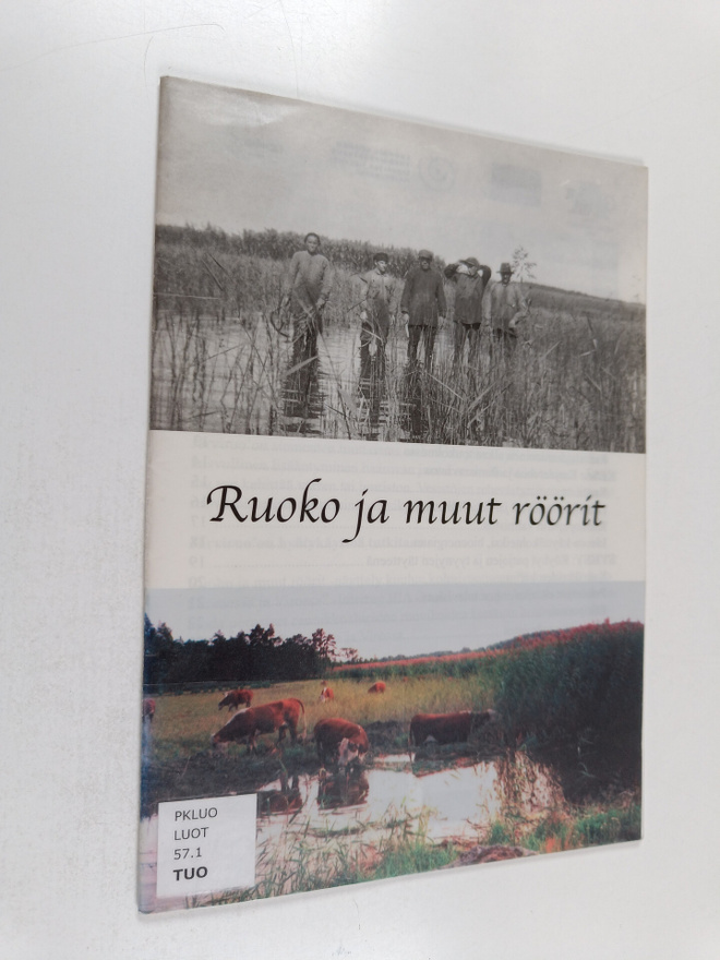 Outi Tuomola : Ruoko ja muut röörit