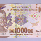 Guinea 1000 Francs v.2022 UNC P-48 - pikkukuva 1