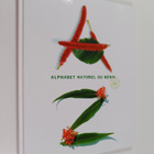 Nalle Ritvola : Alphabet naturel du Benin : päivät Benini... - pikkukuva 1