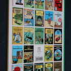 Herge : Yksisarvisen salaisuus Tintin seikkailut (2007 ) - pikkukuva 2