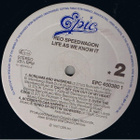 REO  SPEEDWAGON :: LIFE AS WE KNOW IT :: VINYYLI  LP    1987 - pikkukuva 4
