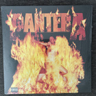 Pantera - Reinventing The Steel Reissue EU LP - pikkukuva 1