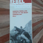 Rebel Samurai: Sixties Swordplay Classics (4DVD / Criterion) - pikkukuva 4
