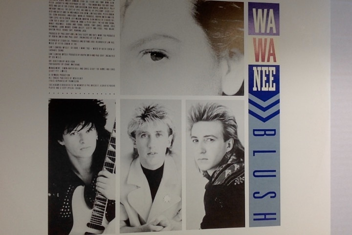 WA WA NEE   ::   BLUSH   ::    VINYYLI  LP           1989 - kuva 6