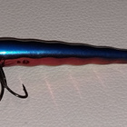 HK varma vaappu 10cm - pikkukuva 1