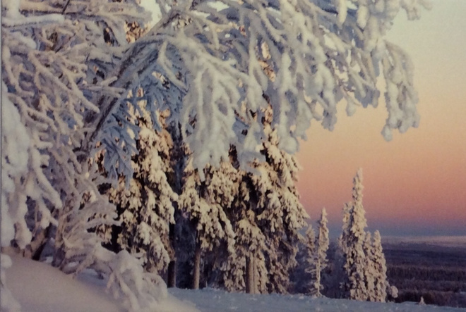 Juhani Hummasti - Kuusamo foto tk
