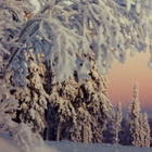 Juhani Hummasti - Kuusamo foto tk - pikkukuva 1
