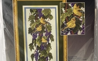 Ristipistopakkaus linnut viiniköynnöksessä