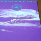 Midnight oil - scream in blue - pikkukuva 1