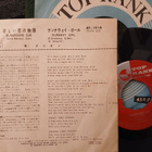 Dion sinkku - pikkukuva 2