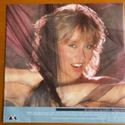 Agnetha Faltskog:Wrap Your Arms Around Me LP - pikkukuva 4
