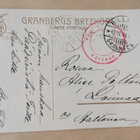 Lapsi ja kuoriutuvat tiput, p. 1916 + sensuuril. - pikkukuva 2