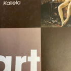 AKSELI GALLEN-KALLELA: ART SOUVENIR - pikkukuva 1