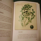 Annunen : PIENI ROHDOSAAPINEN ( 1 p.2011 ) Sis.pk:t - pikkukuva 3