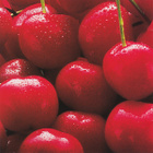 Neneh Chérie - Remixes CD - pikkukuva 1