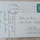 Keltaisia tulppaaneja ja esikoita maljassa, p. 1932 - pikkukuva 2