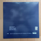 JOY DIVISION : Preston 28 February 1980 LP (Pinkki vinyyli) - pikkukuva 2