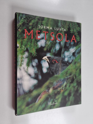 Jorma Luhta : Metsola