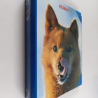 Koirat vuosikerta 1997 - pikkukuva 1