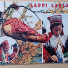 Lappi, lappilaisia kädentaitoja (mm. komsio ym.), p. 1972 - pikkukuva 1