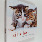 Sterling Publishing Co., Inc. ym. : Kitty Love - How Cute... - pikkukuva 1
