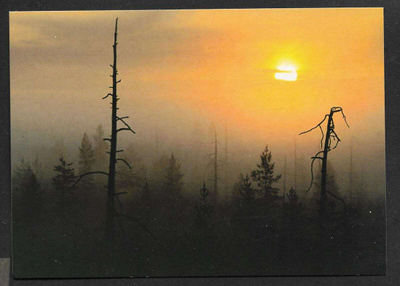 Kuhmo - Kelosuo