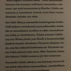 KURT GÖDEL - ELÄMÄ JA MATEMATIIKKA - pikkukuva 2