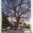 Thomas Pakenham : In Search of Remarkable Trees - On Safa... - pikkukuva 2