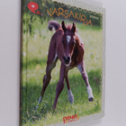 Sofia Wallin : Varsakirja - pikkukuva 1