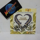 J. KARJALAINEN - VILLEJÄ LUPIINEJA CD- KANSIVIHKO NIMMARILLA - pikkukuva 1