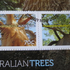Australia 2015: Australian puita -kuori - pikkukuva 4