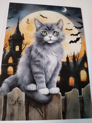 Kissa kortti,kulkematon.