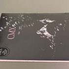 CMX - Pedot - 2LP ( uusi ) - pikkukuva 3