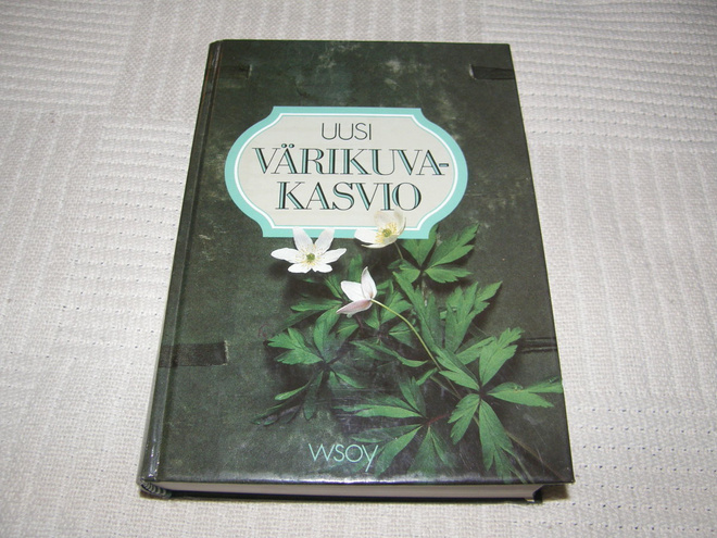 Väänänen - Kurtto - Anthon Uusi värikuvakasvio