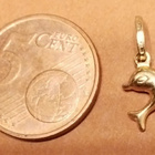 Delfiini 18k - pikkukuva 2