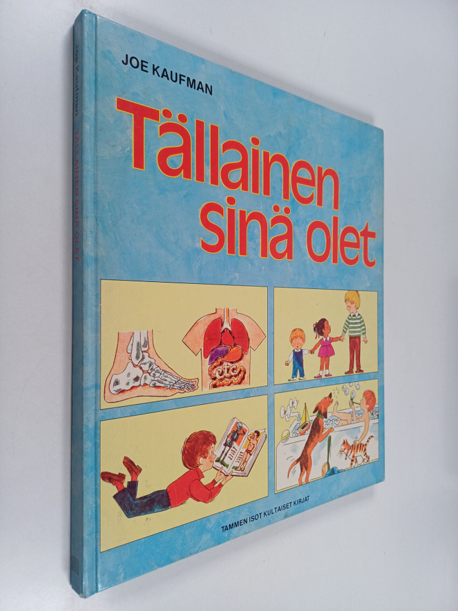Joe Kaufman : Tällainen sinä olet