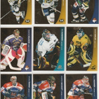 2004/05 Pure Skills Gold /100 - pikkukuva 4