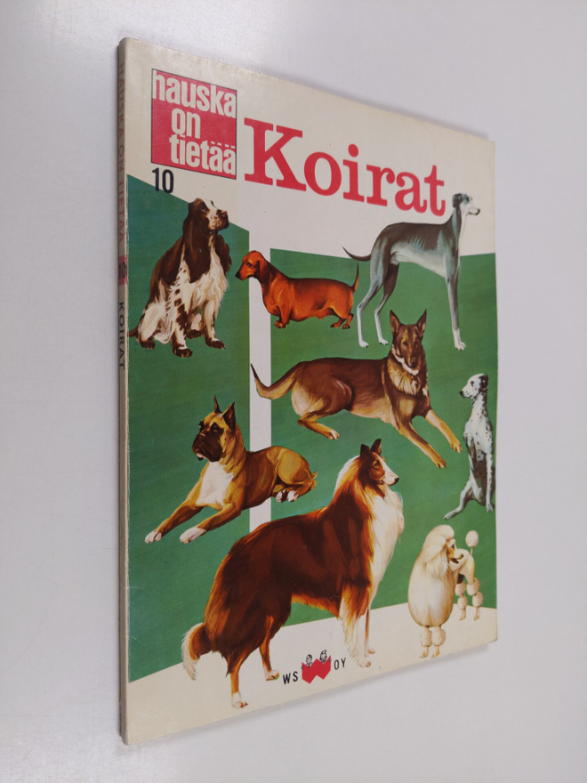 Irving Robbin ym. : Hauska on tietää 10 : Koirat