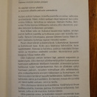 Shamaanin matka - Johannes Setälä - pikkukuva 4