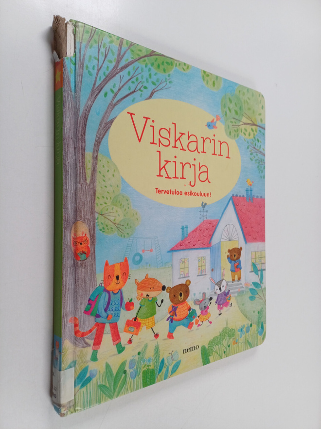 Felicity Brooks : Viskarin kirja : tervetuloa esikouluun!